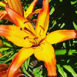 Meet your Posher, Kaylie